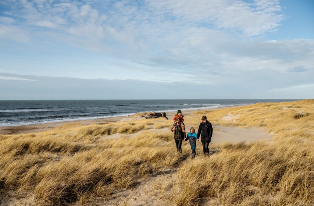 Tversted Gr Nt Certificeret Visitdk Trendsandtravel Dk